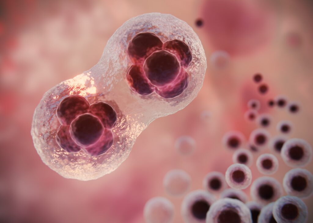 Cientistas descobrem ‘gatilho’ para caos genético que torna o câncer mais agressivo