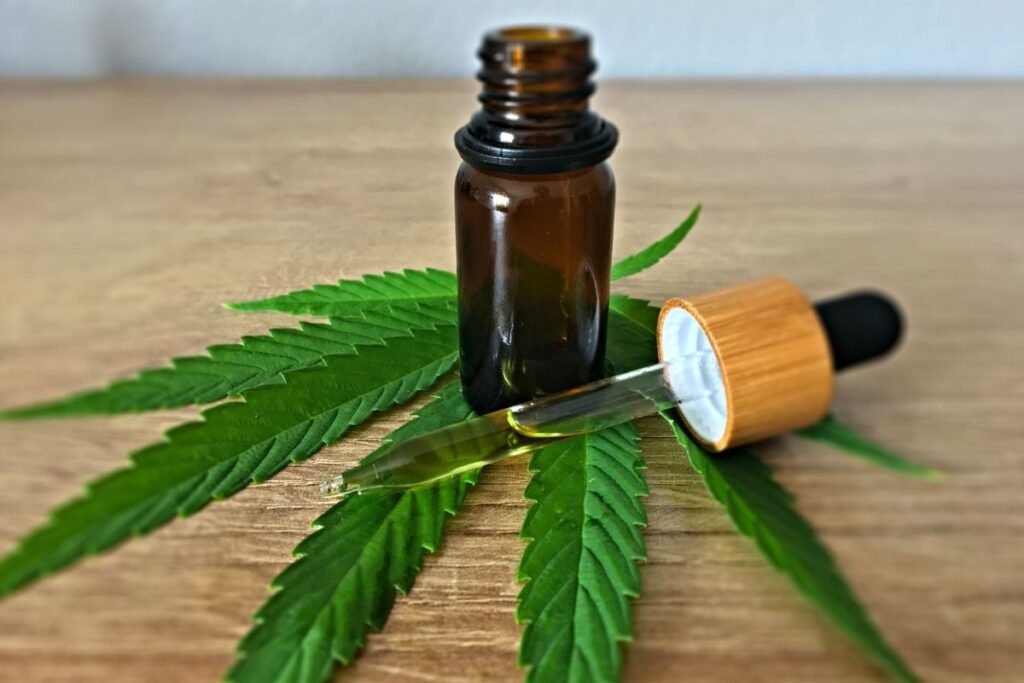 Produção nacional de cannabis medicinal deve baratear tratamentos