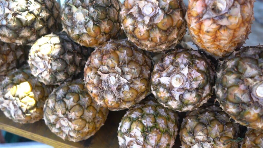 É #FAKE que 'água de abacaxi quente' cura câncer; mensagem falsa voltou a circular